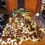 Ferienhaus Letnisko Ujsoły