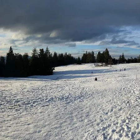 Semesterbostad Letnisko Ujsoły