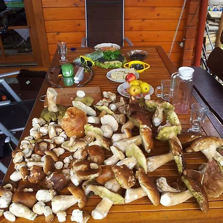 Semesterbostad Letnisko Ujsoły