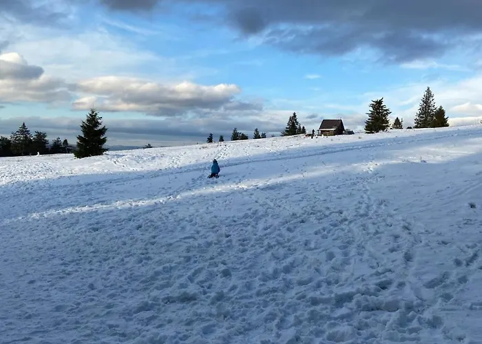 Letnisko Prázdninový dům *