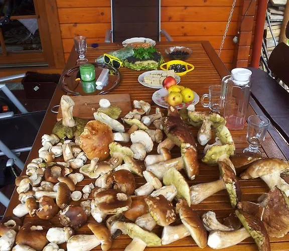 Prázdninový dům Letnisko Ujsoły